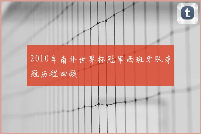 2010年南非世界杯冠军西班牙队夺冠历程回顾