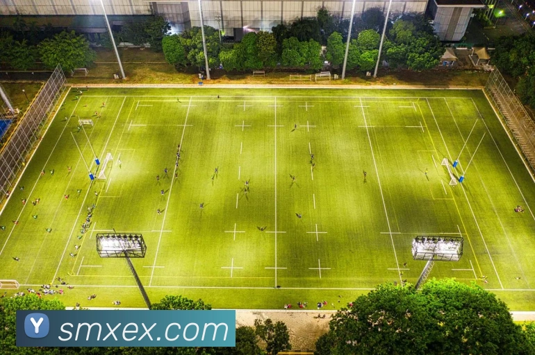 世界杯官网登录app平台生态图